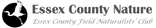 ECNlogo – Essex County Nature