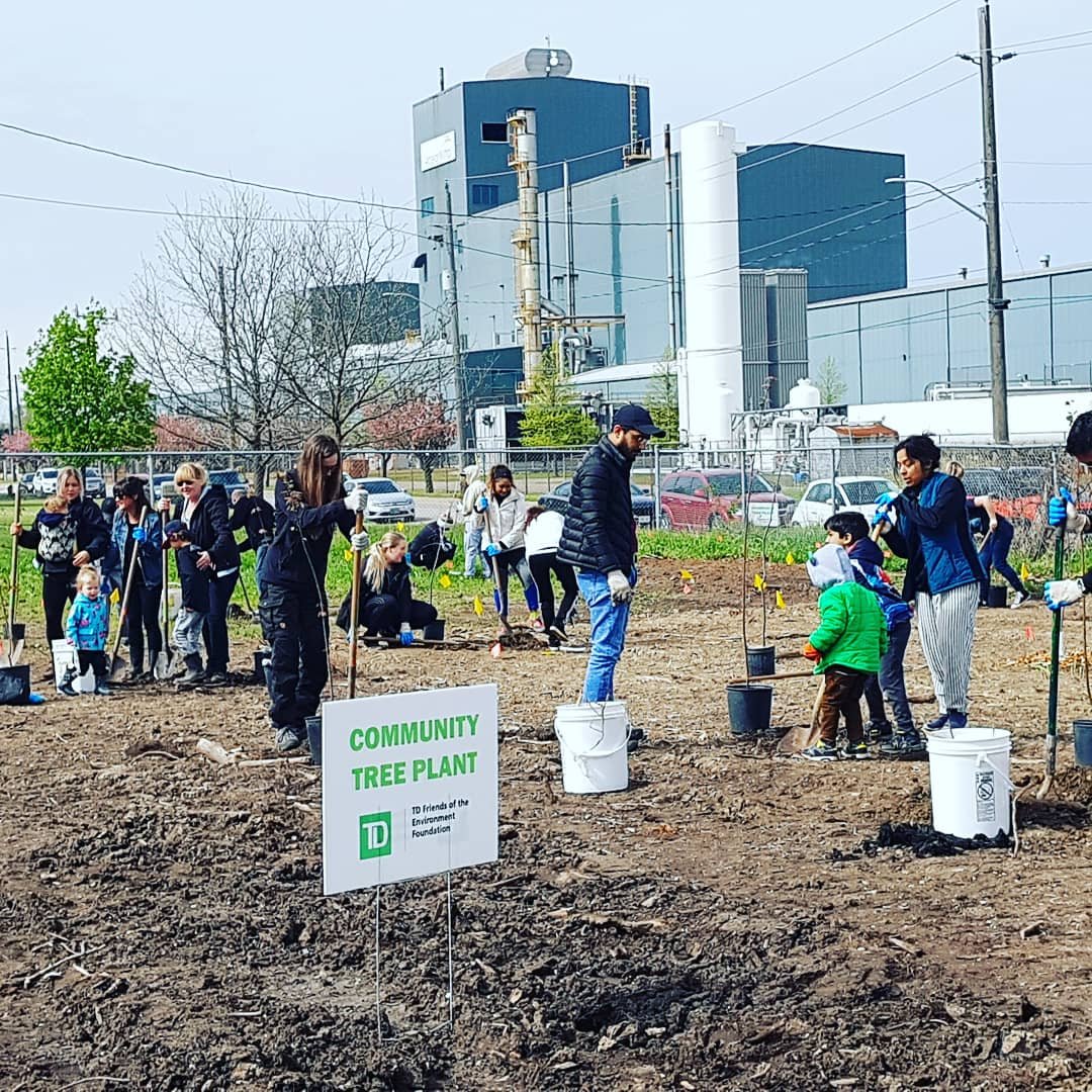 Tree planting – Essex County Nature